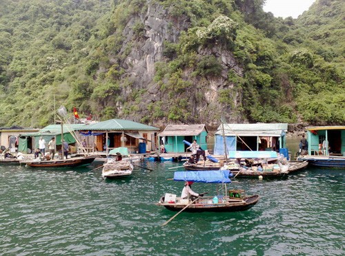 top 10 dia diem du lich noi tieng quang ninh 7 - Top 10 địa điểm du lịch nổi tiếng Quảng Ninh
