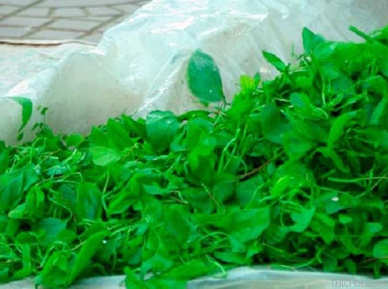 top 10 mon an noi tieng khong nen bo qua khi du lich dien bien 7 - Top 10 món ăn nổi tiếng không nên bỏ qua khi du lịch Điện Biên