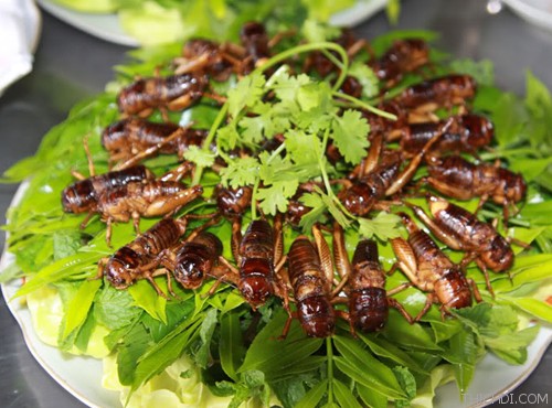 top 10 mon an noi tieng khong nen bo qua khi du lich kon tum 7 - Top 10 món ăn nổi tiếng không nên bỏ qua khi du lịch Kon Tum