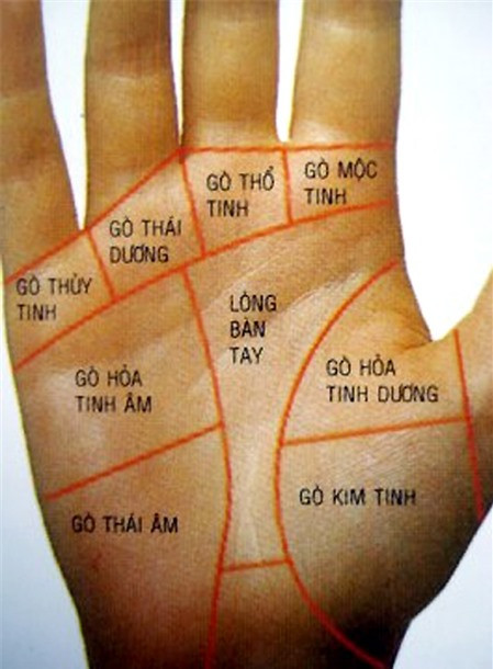 5 Dấu Hiệu Trên Bàn Tay Cho Thấy Bạn Sắp Trúng Số và Thay Đổi Cuộc Đời Bạn